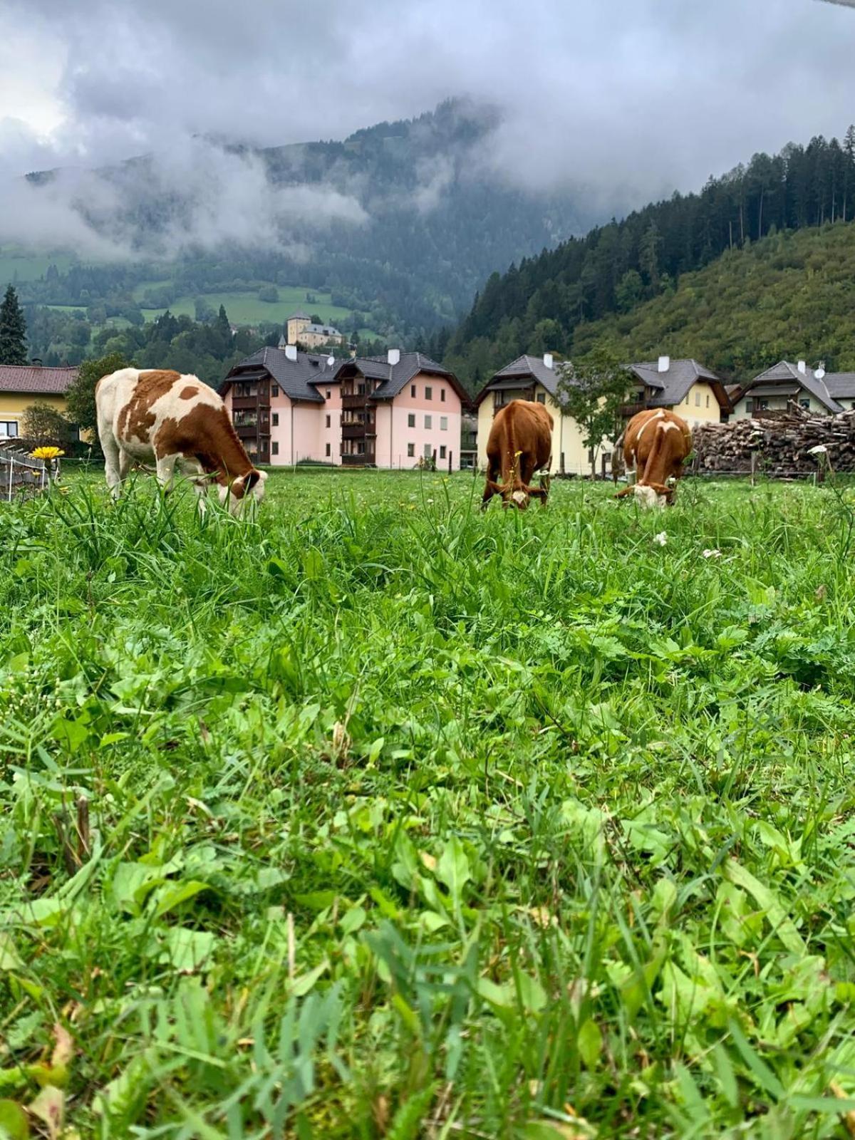 Panorama Apartments Semslach Obervellach Ngoại thất bức ảnh